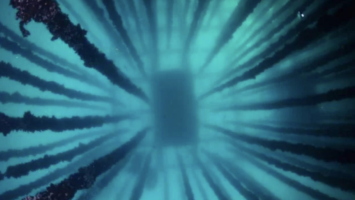 El Futuro de los Alimentos Provenientes del Mar, explicado